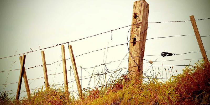 五大联赛焦点战专题报道，足球运动员在绿茵场上激烈拼抢的精彩瞬间