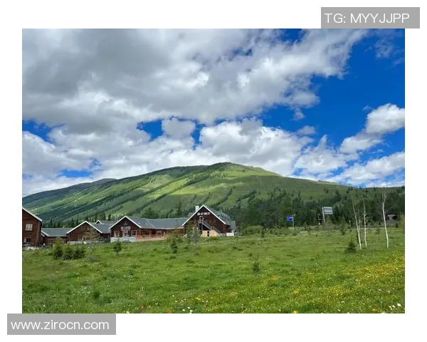 探索阿拉巴的文化魅力与自然风光，揭开这片神秘土地的历史面纱