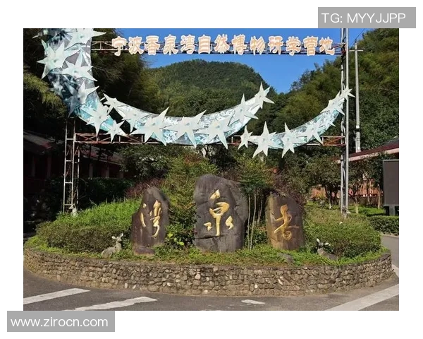 台岩村足球比赛直播时间及观看方式详解与赛事亮点分析